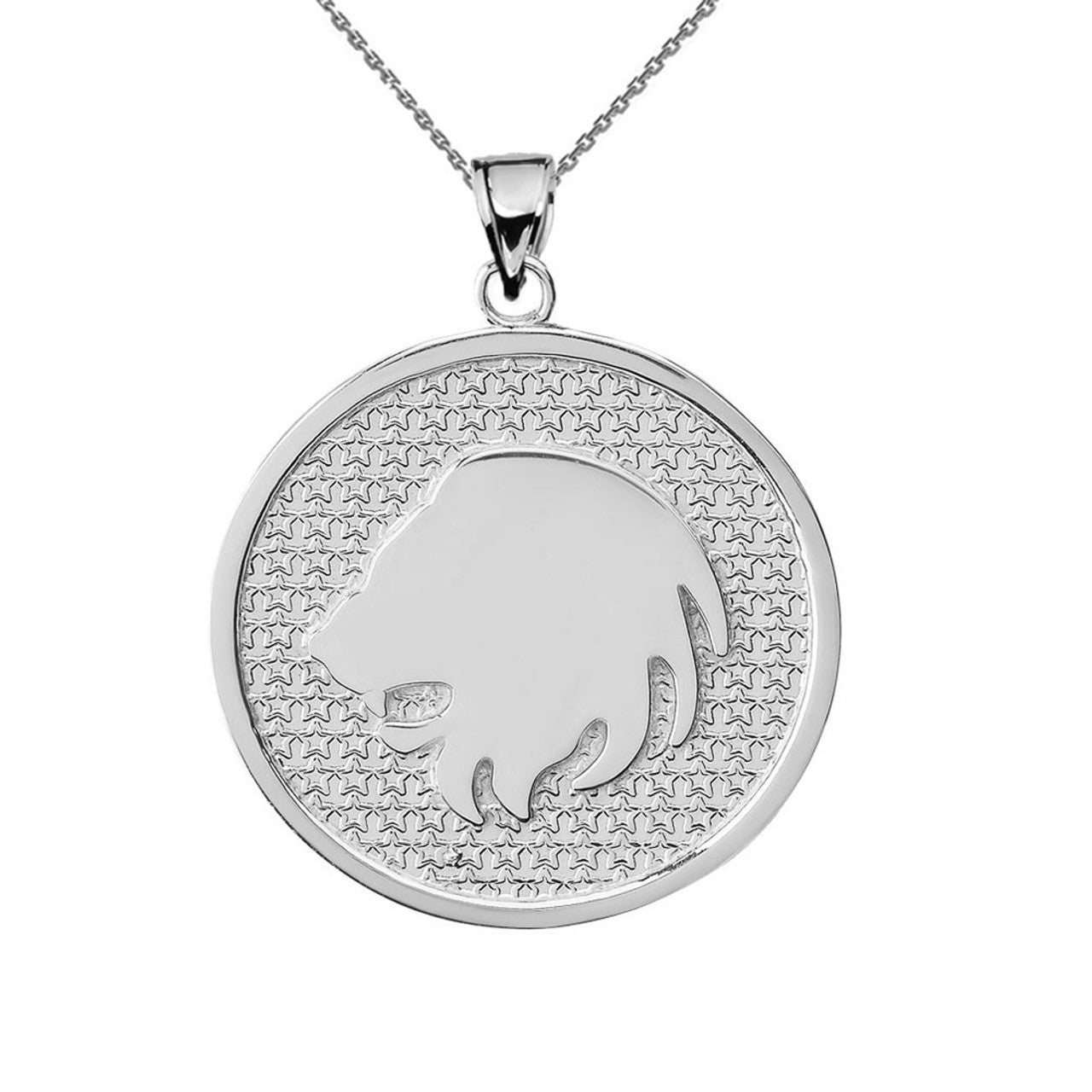 .925 Sterling Silver 12 Astrological Zodiac Disc Pendant Necklace