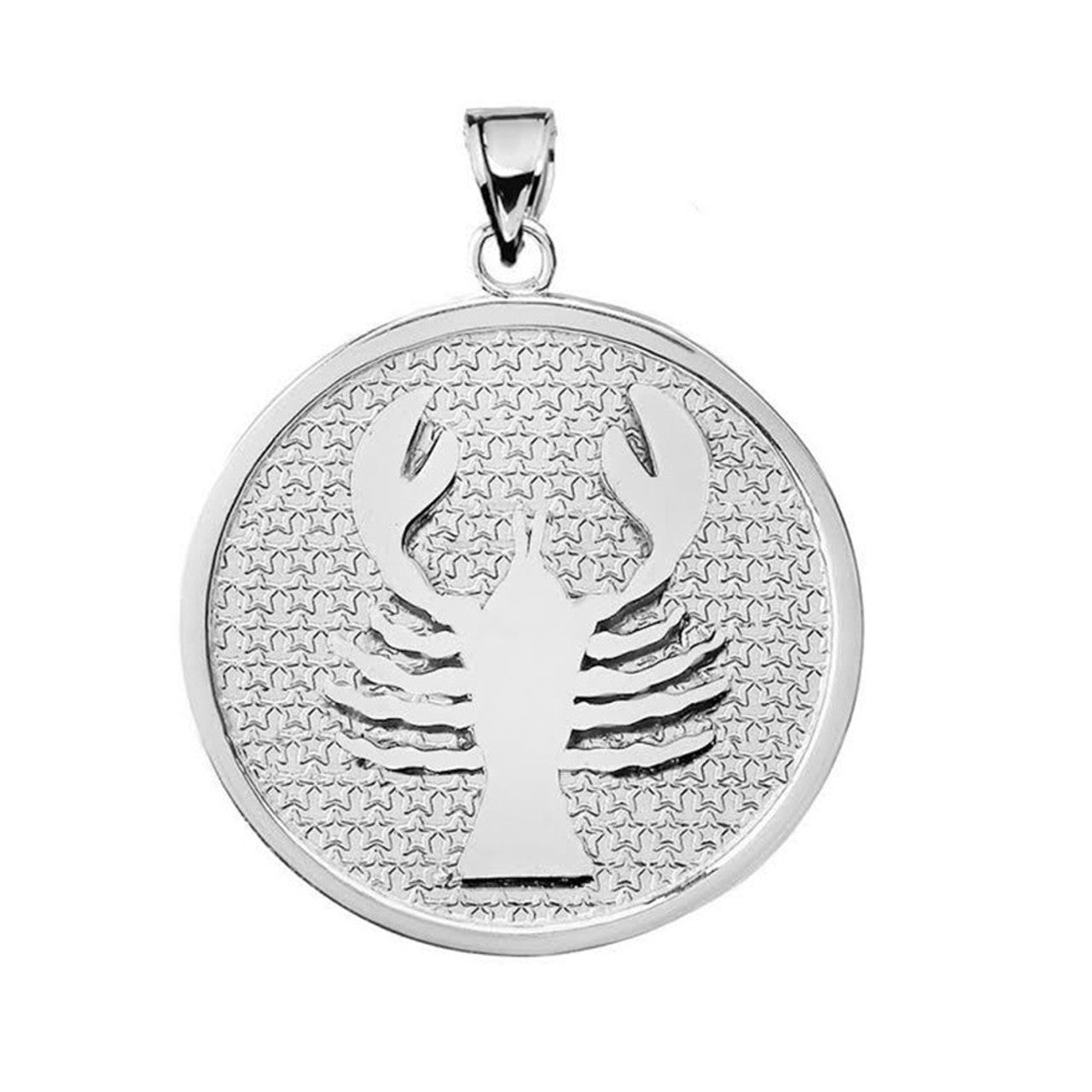 .925 Sterling Silver 12 Astrological Zodiac Disc Pendant Necklace