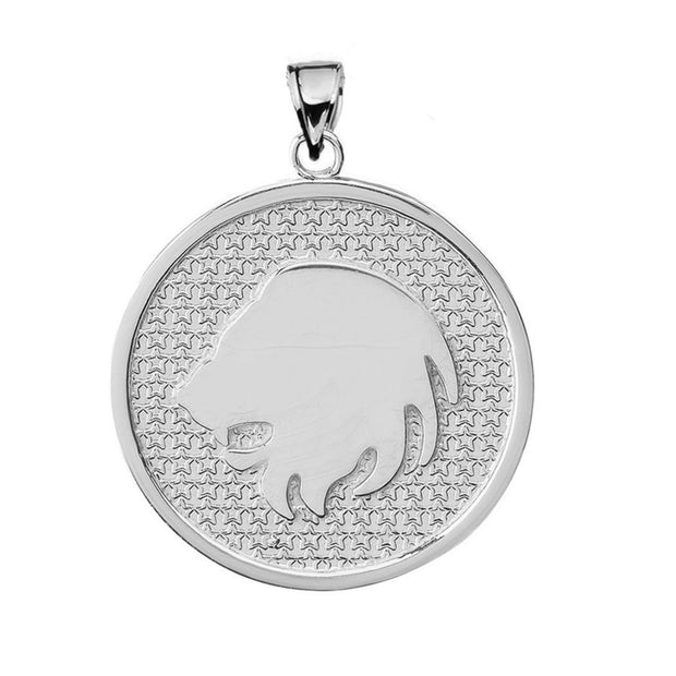 .925 Sterling Silver 12 Astrological Zodiac Disc Pendant Necklace