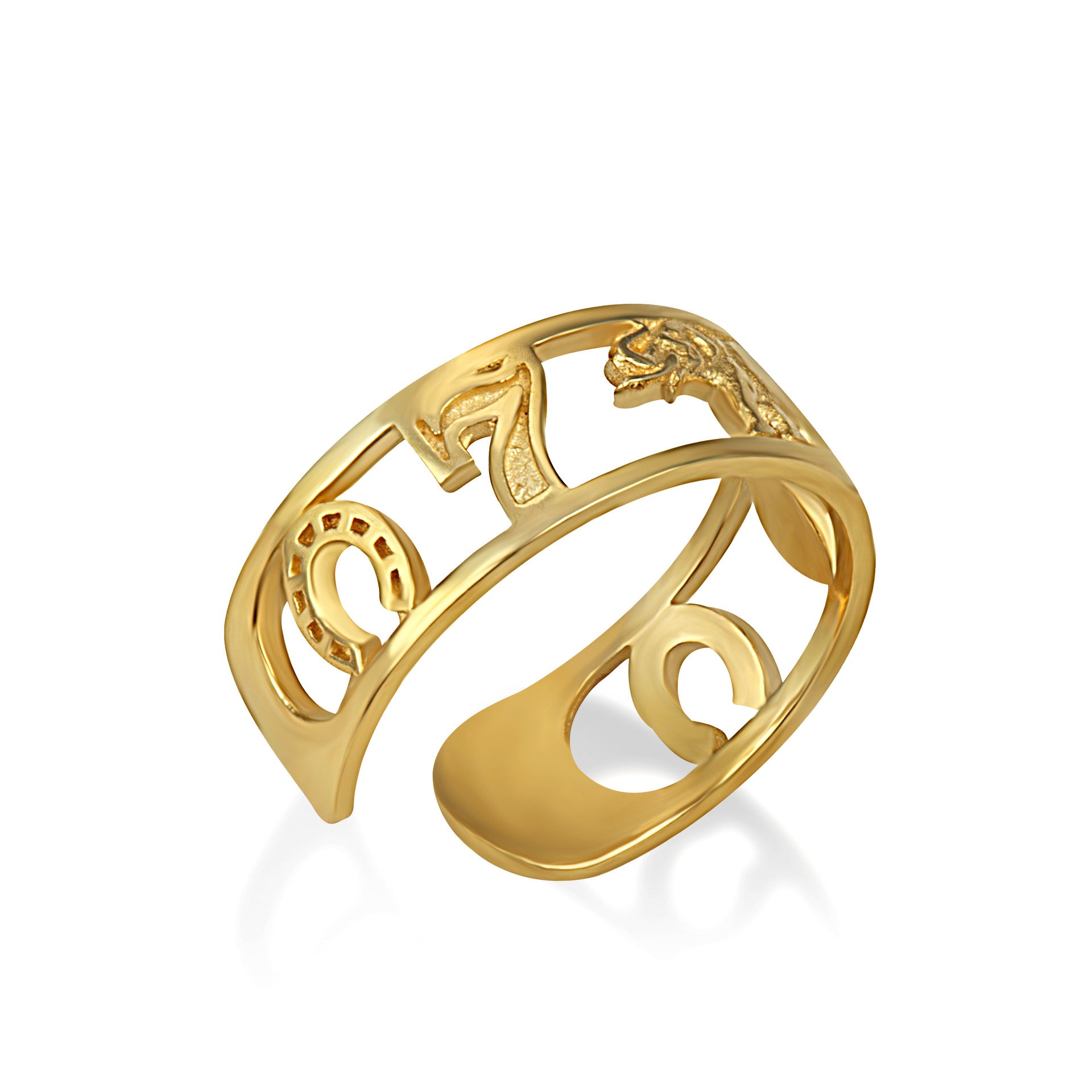 Gold Lucky Charm Toe Ring (Available in Yellow/Rose/White Gold)