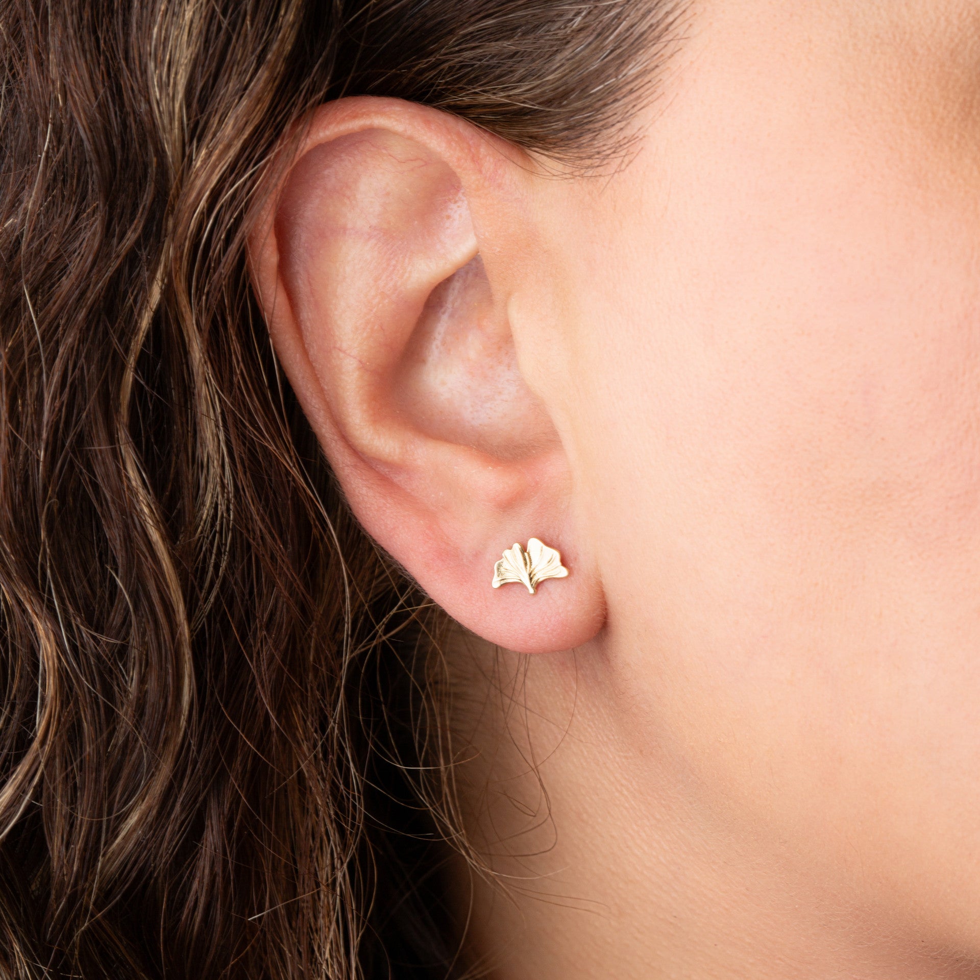 14K Yellow Gold Seashell Beach Stud Earrings