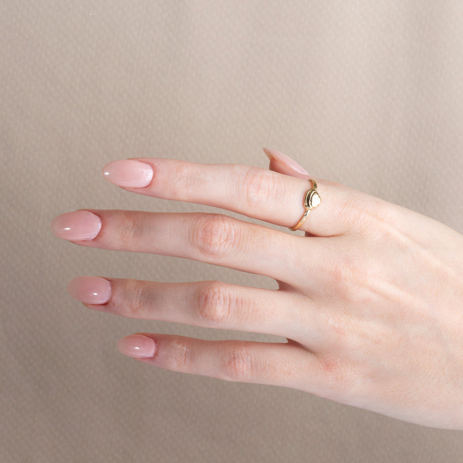 Gold Beach Seashell Ring (Available in Yellow/Rose/White Gold)
