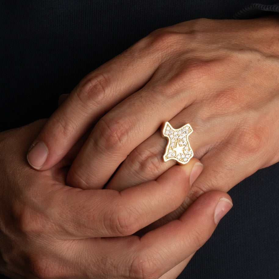 Gold Texas Lone Star State Map Cubic Zirconia Ring (Available in Yellow/Rose/White Gold)