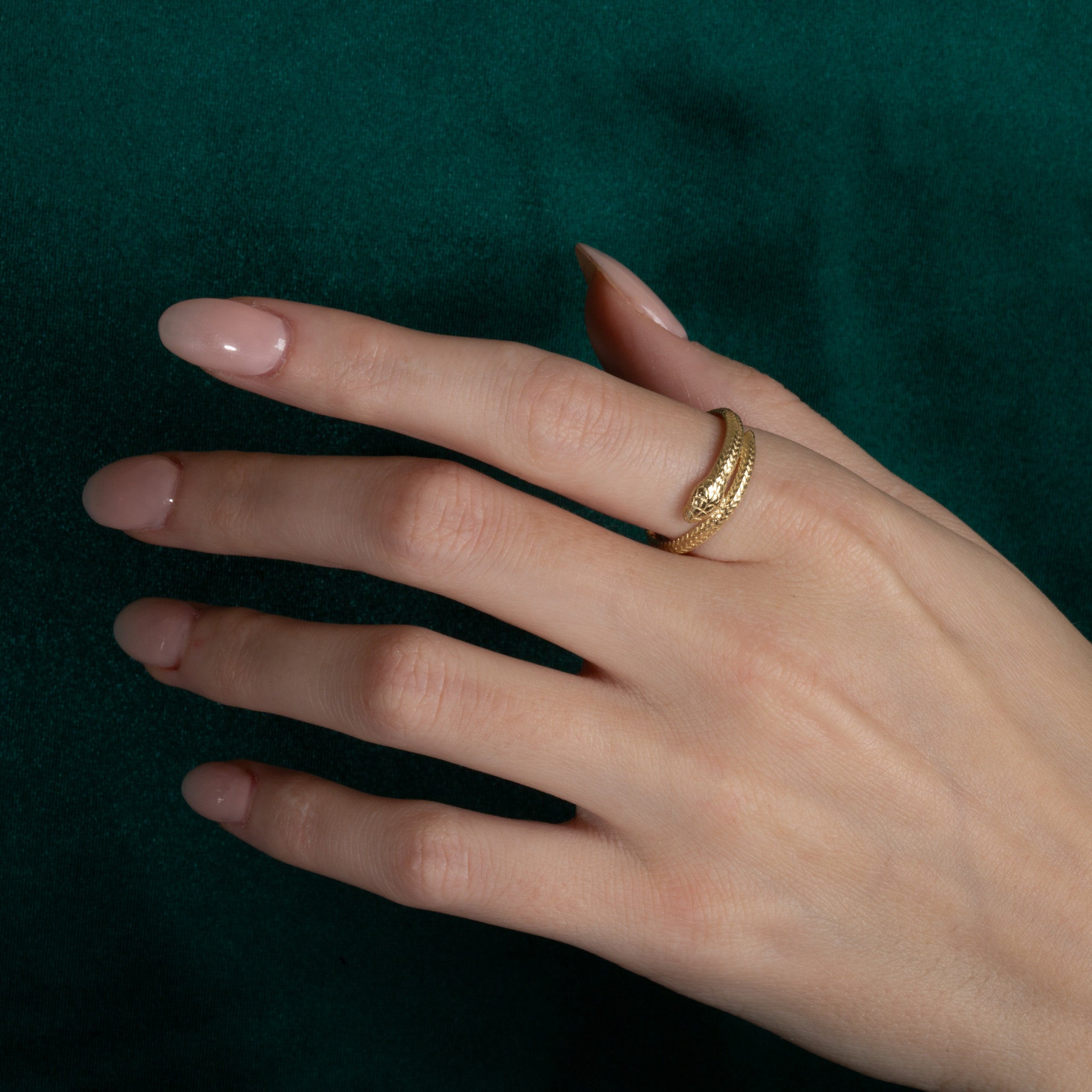 Gold Coiled Serpent Snake Textured Ring (Available in Yellow/Rose/White Gold)
