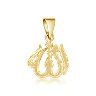 Gold Diamond Cut Allah Arabic Script Pendant Necklace (Available in Yellow/Rose/White Gold)