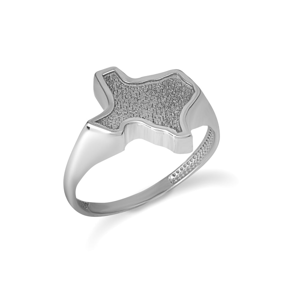 Gold Texas State Map Textured Ring (Available in Yellow/Rose/White Gold)
