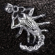 Silver Scorpion Symbol of Power Pendant Necklace