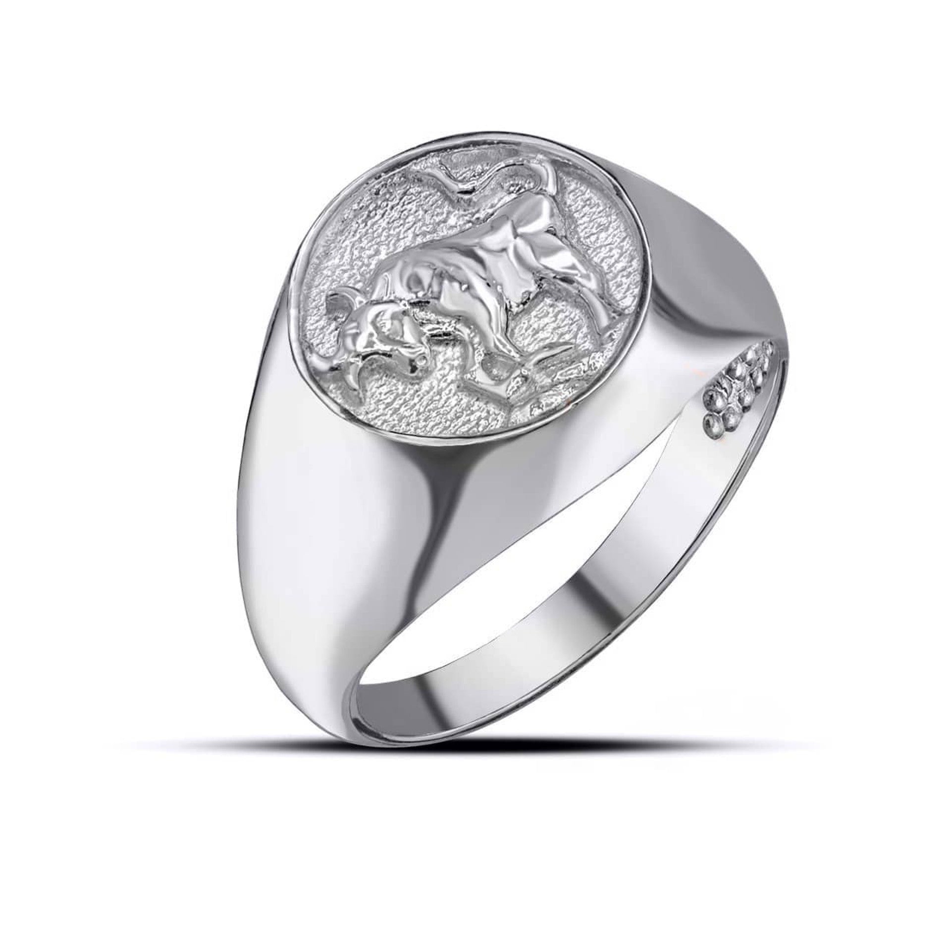 .925 Sterling Silver Men's Custom Zodiac Sign Signet Ring