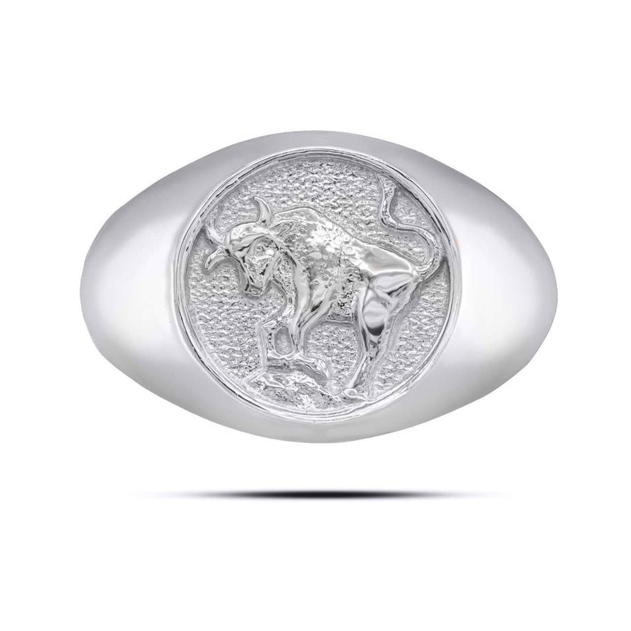 .925 Sterling Silver Men's Custom Zodiac Sign Signet Ring