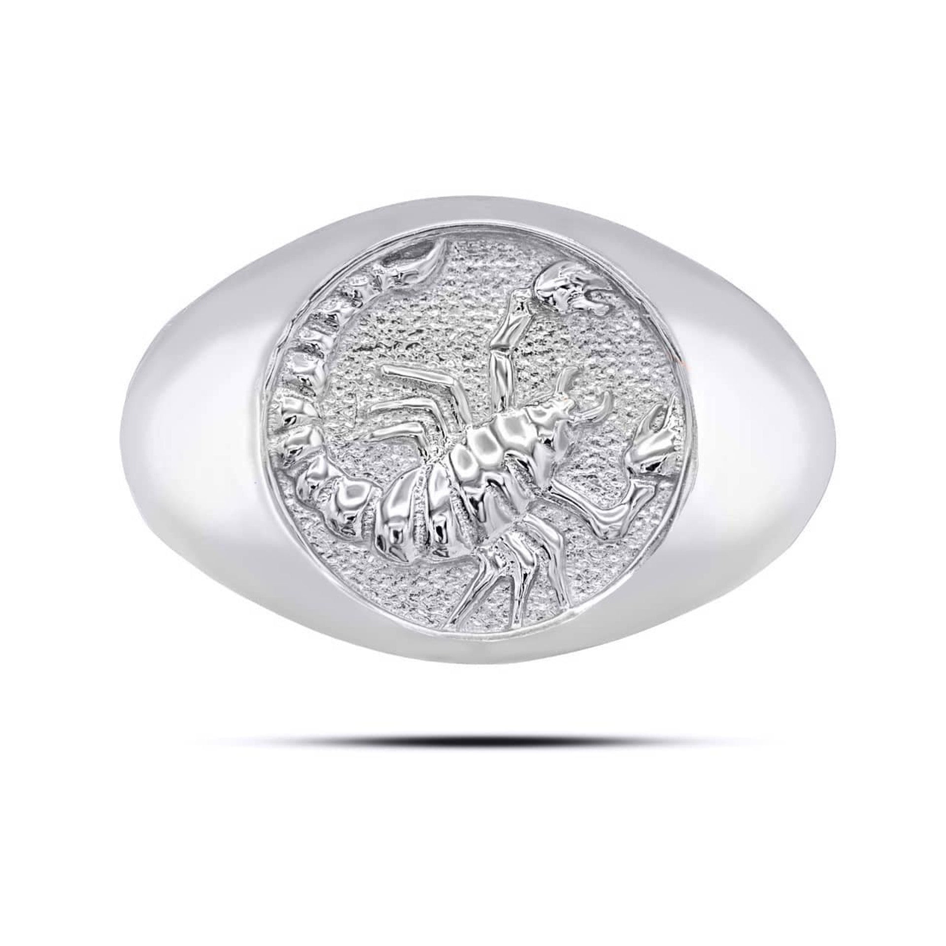 .925 Sterling Silver Men's Custom Zodiac Sign Signet Ring