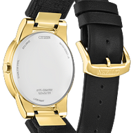 AU2002-01E Citizen Eco-Drive Quartz Leather Strap Watch Black Dial Gold-Tone Stainless Steel Men's Watch