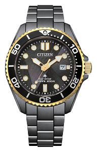 BN0264-53E Citizen Promaster Dive Eco-Drive Sport Watch Black Dial Stainless Steel