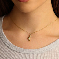 14K Yellow Gold Dolphin Necklace