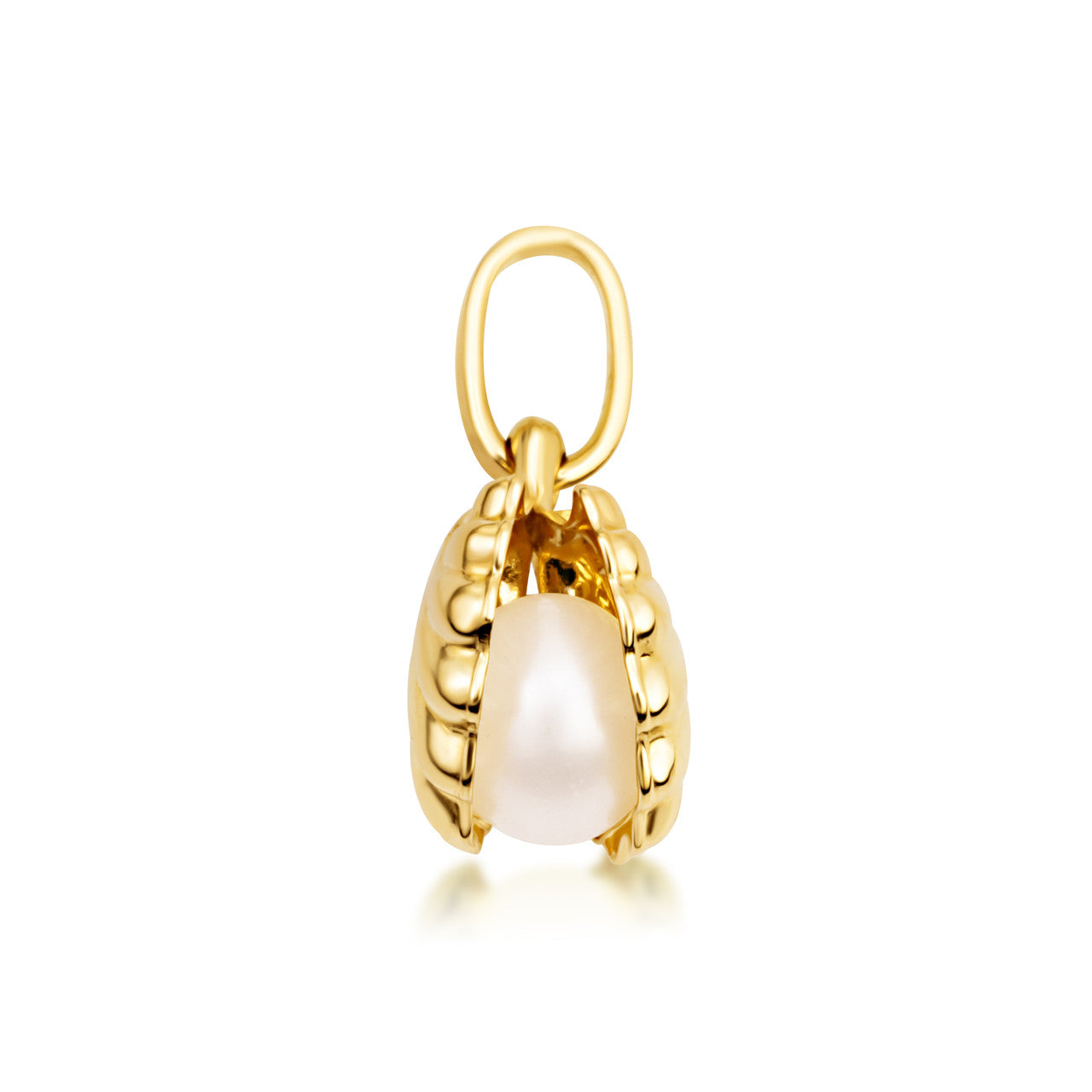14K Gold Pearl Seashell Necklace