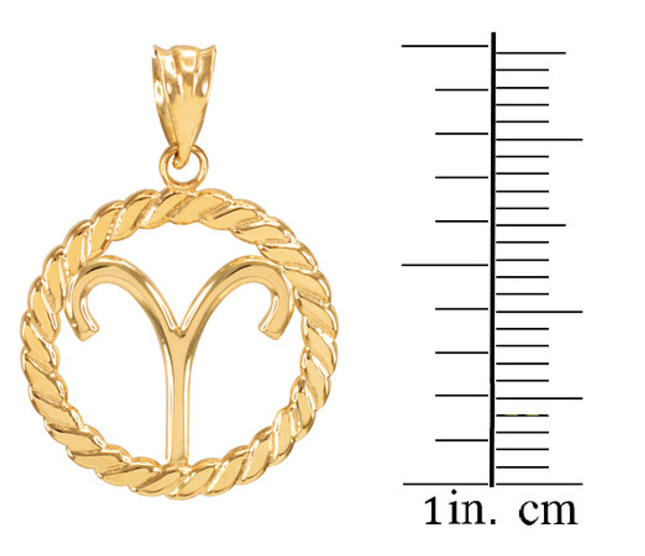 12 Gold Astrological Zodiac Sign in Circle Rope Pendant Necklace (Available in Yellow/Rose/White Gold)