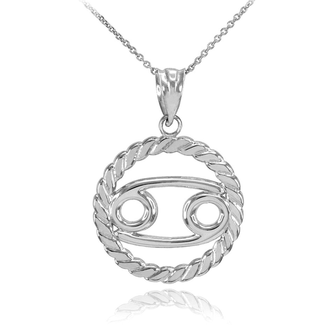.925 Sterling Silver 12 Astrological Zodiac Sign in Circle Rope Pendant Necklace