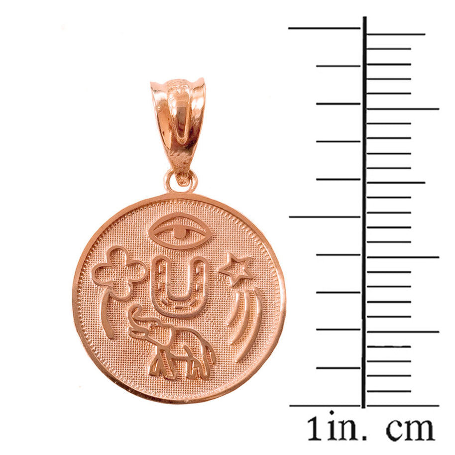Solid Gold Lucky Charms Amulet Good Luck Disc Medallion Pendant Necklace (Available in Yellow/Rose/White Gold)