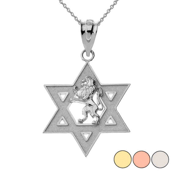 Gold Star of David with Lion of Judah Pendant Necklace (Available in Yellow/Rose/White)