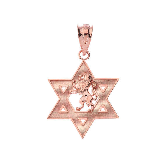 Gold Star of David with Lion of Judah Pendant Necklace (Available in Yellow/Rose/White)