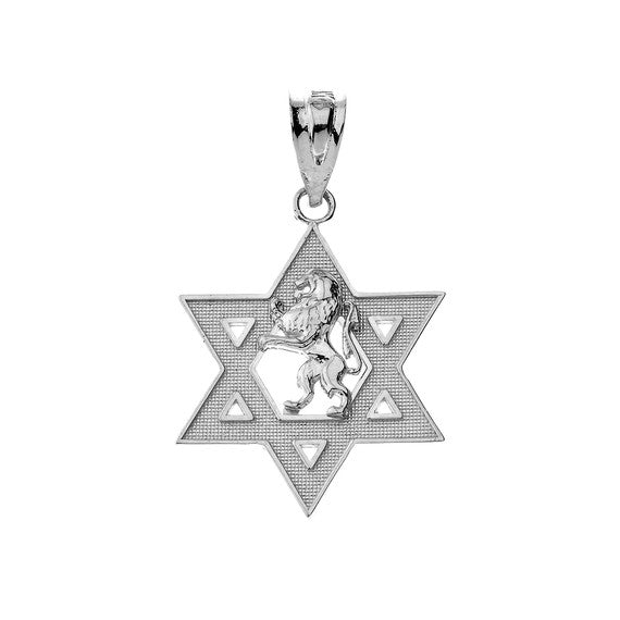 Gold Star of David with Lion of Judah Pendant Necklace (Available in Yellow/Rose/White)