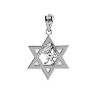 Gold Star of David with Lion of Judah Pendant Necklace (Available in Yellow/Rose/White)