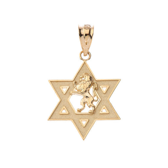 Gold Star of David with Lion of Judah Pendant Necklace (Available in Yellow/Rose/White)