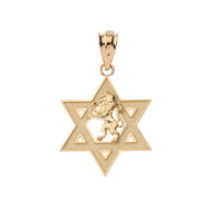 Gold Star of David with Lion of Judah Pendant Necklace (Available in Yellow/Rose/White)