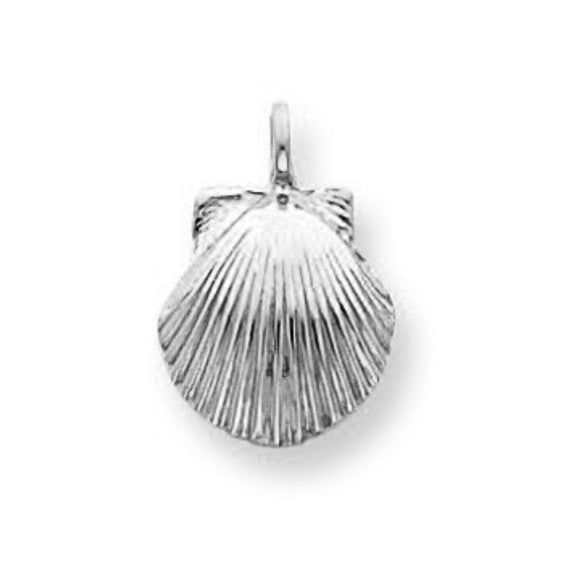 Solid Gold Seashell Charm(Available in Yellow/White Gold)