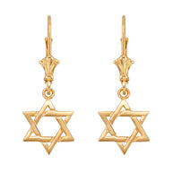 Gold Jewish Star of David Earrings(Available in Yellow/Rose/White Gold)