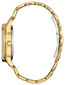 FD0002-57D Citizen Calendrier Eco-Drive Women's Watch