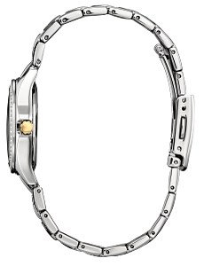 FE1146-71A Citizen Eco-Drive Silhouette Two-Tone Stainless Crystal Watch