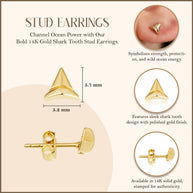 Shark Tooth Earrings in 14K Gold