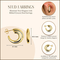 14K Yellow Gold Ribbed Hoop Stud Earrings