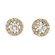 14K Gold Halo Diamond Stud Earrings (Available in Yellow/Rose/White)