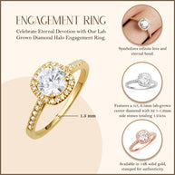 14K Gold Lab Grown Diamond Halo Engagement Ring (Available in Yellow/Rose/White Gold)