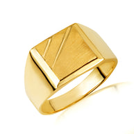 Solid Gold Men's Jove Signet Ring