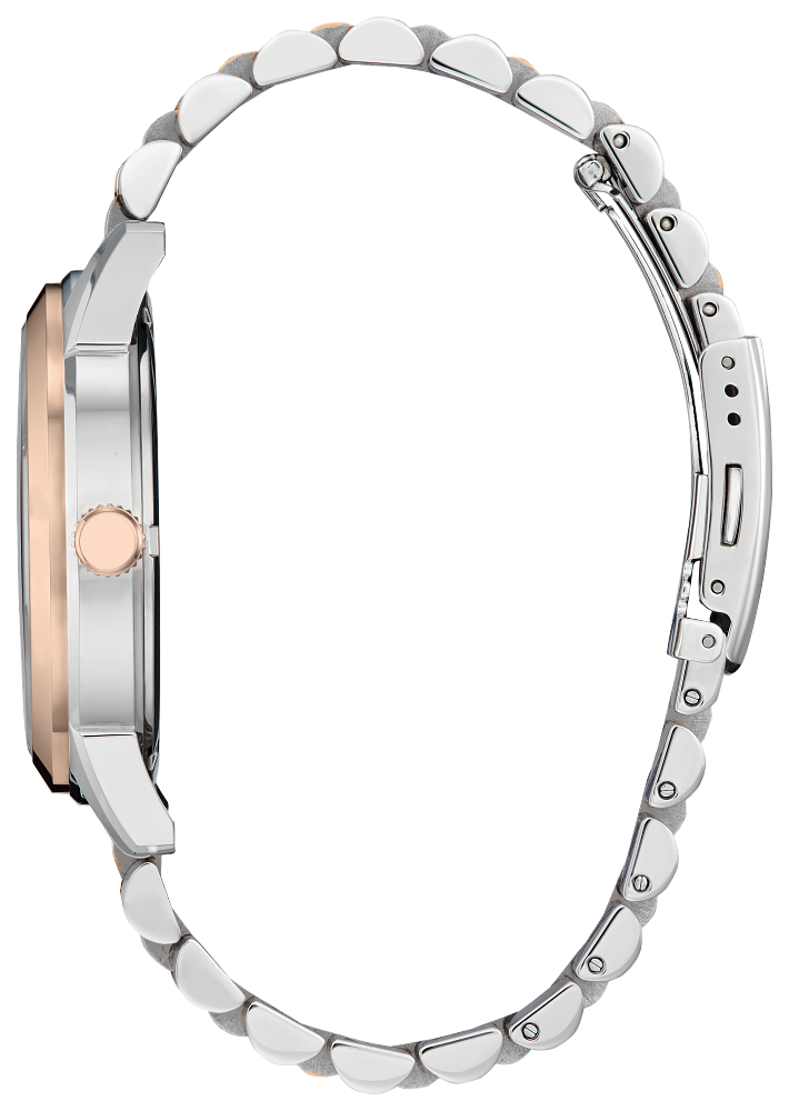 AW0156-57X Citizen Rolan Brown Dial Men's Watch