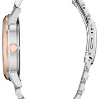 AW0156-57X Citizen Rolan Brown Dial Men's Watch