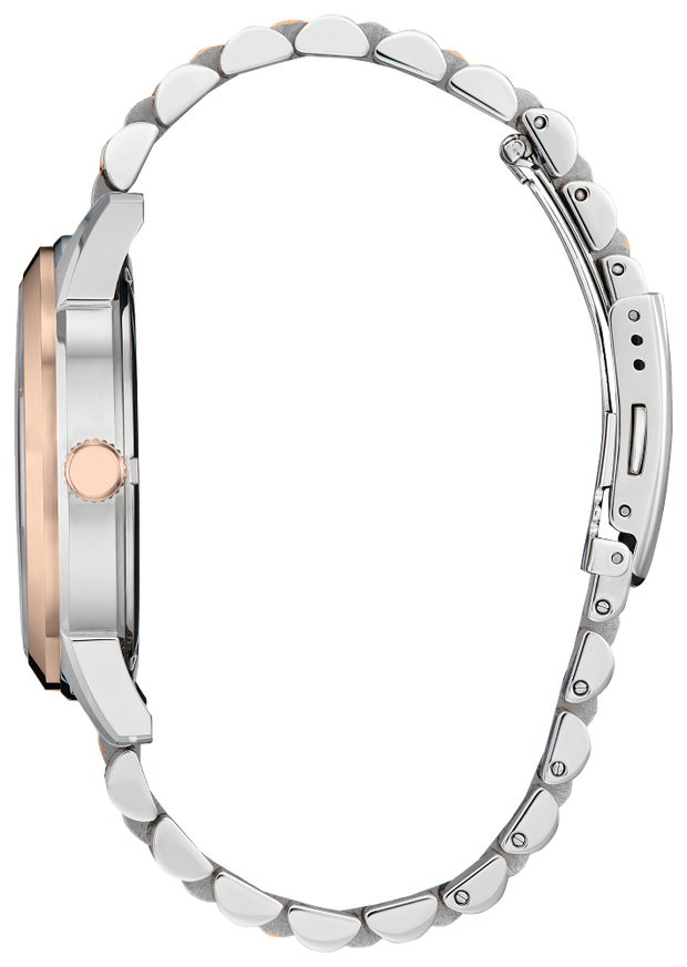 AW0156-57X Citizen Rolan Brown Dial Men's Watch