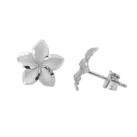 10K/14K Gold Hawaiian Plumeria Flower Stud Earrings (Available in Yellow Gold, Rose Gold, White Gold)