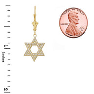 Yellow Gold Diamond Jewish Star Of David Earrings(Available in Yellow/Rose/White Gold)