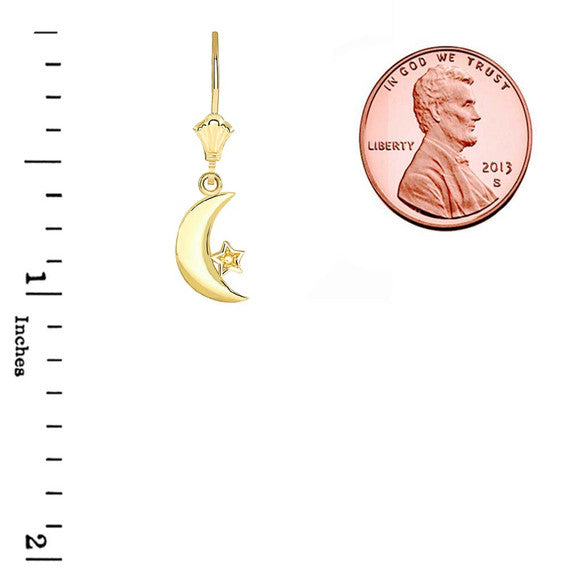 Crescent Moon and Star Leverback Earrings(Available in Yellow/Rose/White Gold)