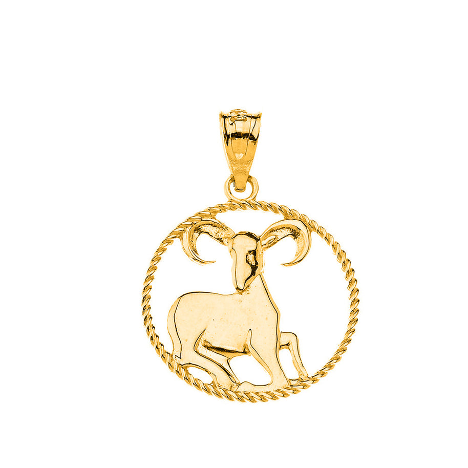 12 Astrological Zodiac Signs Rope Pendant Necklace in Solid Gold (Available in Yellow/Rose/White Gold)
