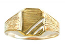 Mens Two-Tone Solid Gold Zeus Signet Ring