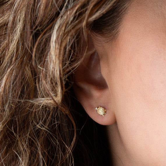 14K Yellow Gold Marine Sea Turtle Stud Earrings