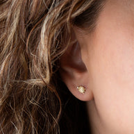 14K Yellow Gold Marine Sea Turtle Stud Earrings