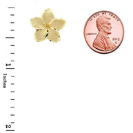 Gold Plumeria Flowers Stud Earrings (Available in Yellow/Rose/White Gold)