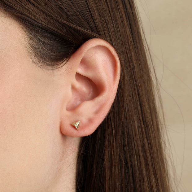 Shark Tooth Earrings in 14K Gold