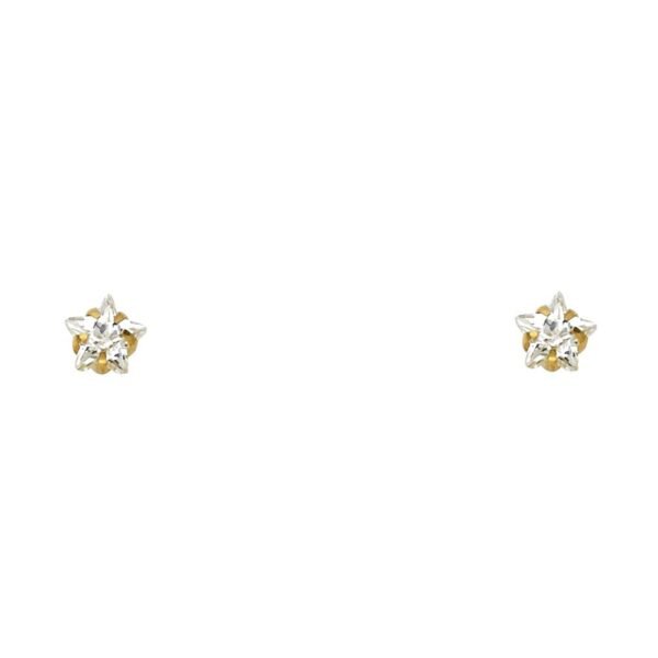 14KY 5mm Star Stud Earrings w/Screw
