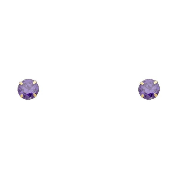 14KY 5mm RD CZ Stamp Stud Earrings w/Screw (FEB